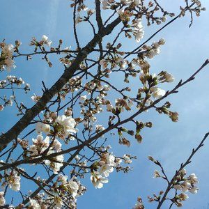 Meet your Posher, Chroma_DC